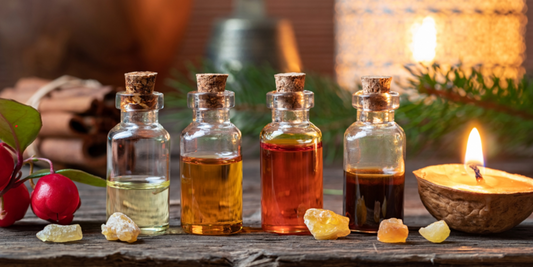 The Best Vegan Oils for Hair Growth and Scalp Health